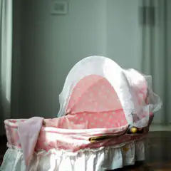 Bassinet / bedside crib