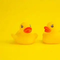 Bath toys