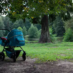 Stroller / pram