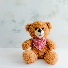 First teddy